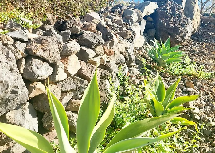 Vakantiehuis Casa Venus Sabinosa