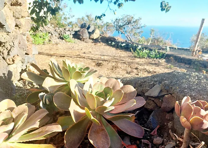 Vakantiehuis Casa Venus *